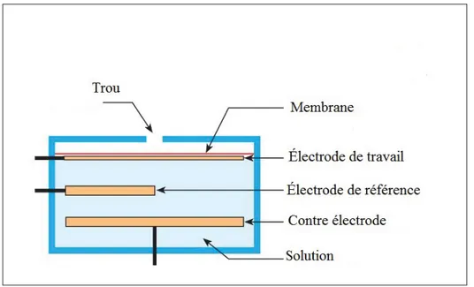 Figure 1.7 Architecture standard d’un capteur AGS (capteur électrochimique)