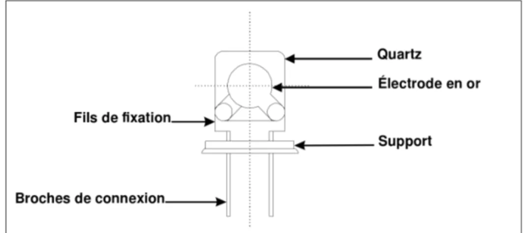 Figure 1.10 Architecture standard d’un capteur BAW dans un support commercial HC-49U
