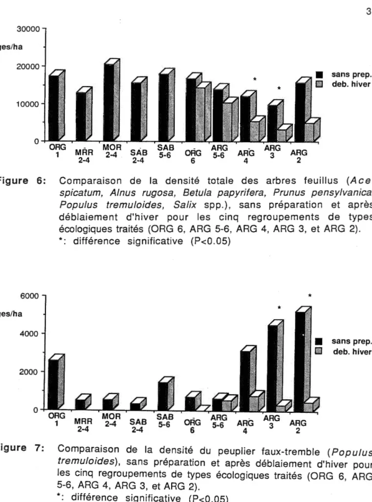 Figure  6:  Comparaison  de  la  densité  totale  des  arbres  feuillus  (A ce  r  spicatum,  A/nus  rugosa,  Betula  papyrifera,  Prunus  pensylvanica,  Populus  tremuloides,  Sa/ix  spp.),  sans  préparation  et  après  déblaiement  d'hiver  pour  les  c