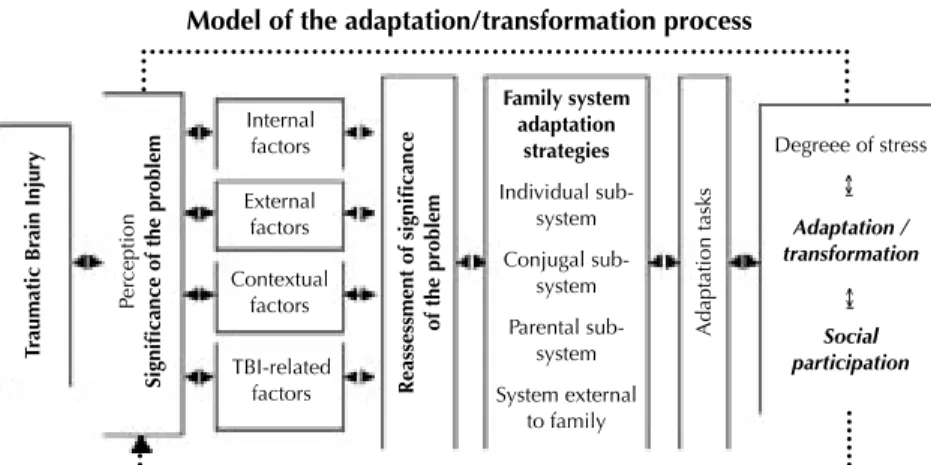 Figure 1 shows the adaptation/transformation model. 