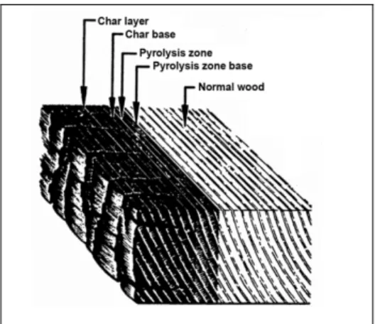 Figure 1.2 Illustration de la carbonisation d’une planche en bois   Tirée de Forest Products Laboratory (1999) 