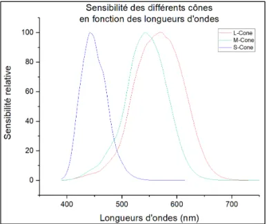 Figure 1.3 Comparaison entre les différents types de cônes  Tirée de Stiles et Burch (1959) 