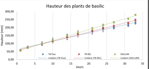 Figure 4.2 Variation dans le temps de la hauteur des plants de basilic   en fonction de chaque luminaire 