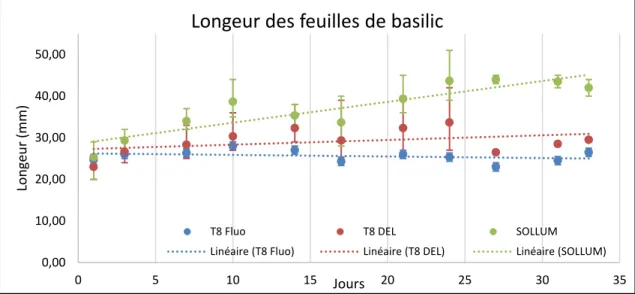 Figure 4.4 Variation dans le temps de la longueur des feuilles des plants de basilic   en fonction de chaque luminaire 