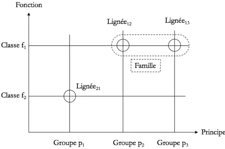 Figure 10 – Schématisation des liens entre classe, groupe, lignée et famille. 