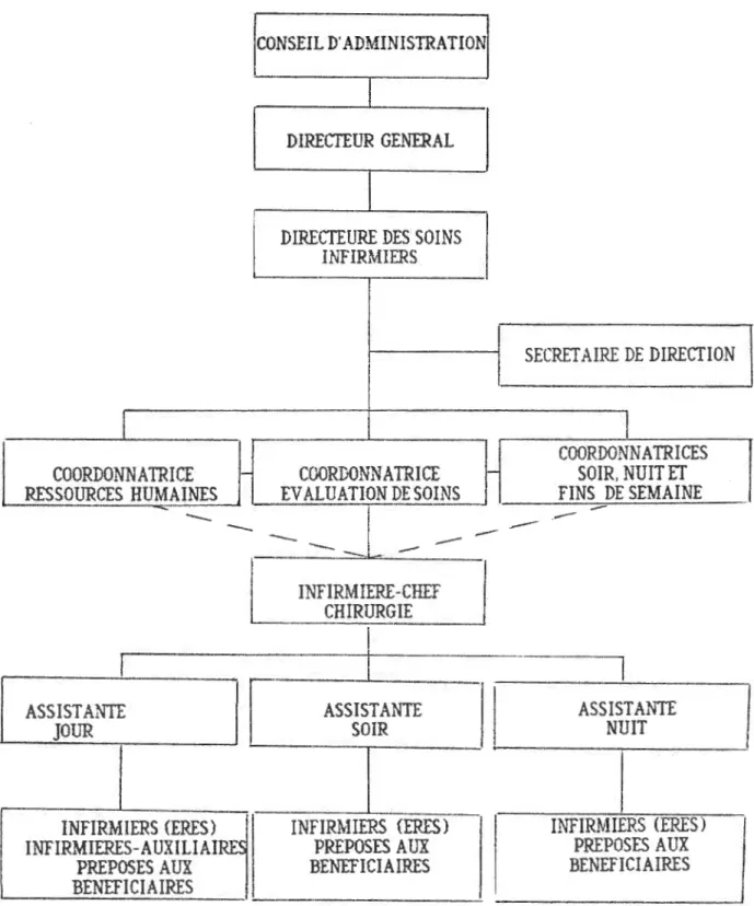 Figure  7:  Organigramme de l'Unité  de  soins  de Chirurgie 