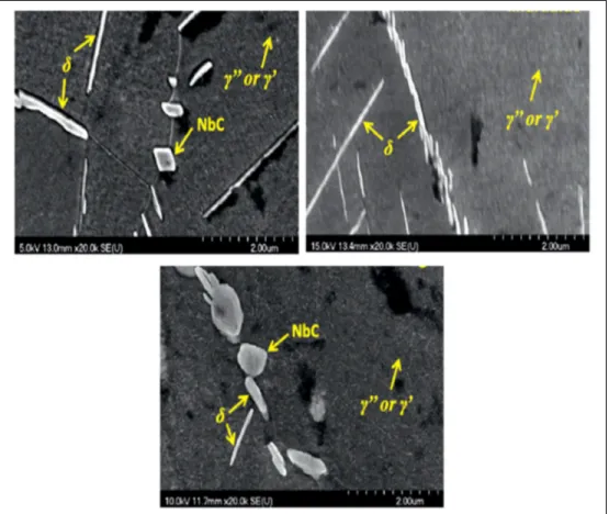 Figure 1.6 Les différentes phases présentes dans l’Inconel 718 après un   traitement thermique (Chamanfar et al., 2013) 