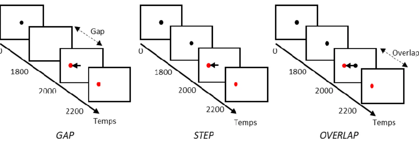 Figure 3. Illustration des conditions gap, step et overlap dans un paradigme de prosaccade