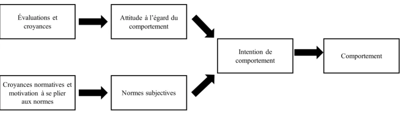 Figure  1:Modèle  issu  de  la  théorie  de  l’action  raisonnée,  à  partir  des  travaux  d’Ajzen  et  Fishbein (1973)