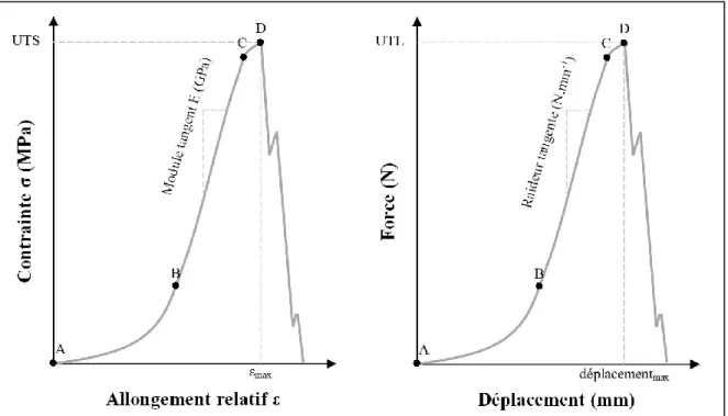 Figure 1.5 Diagramme dans les plan contrainte-allongement et force-déplacement du  comportement typique en tension des ligaments, avec [AB] la toe-region, [BC] la zone 