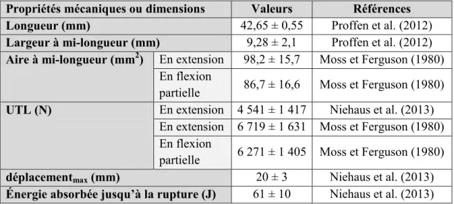 Tableau 1.1 Propriétés mécaniques et dimensions connues des CrCL de bovins adultes  Propriétés mécaniques ou dimensions  Valeurs  Références  Longueur (mm)  42,65 ± 0,55  Proffen et al