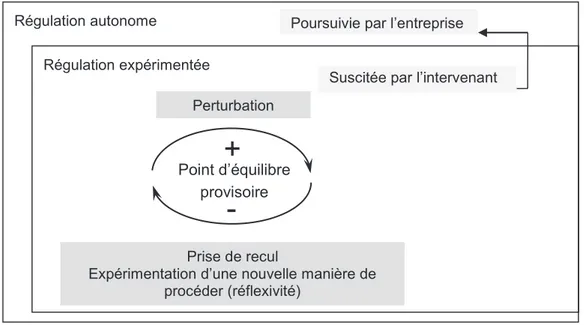 Figure 6. Les finalités de l’intervention : réflexivité et autorégulation. 