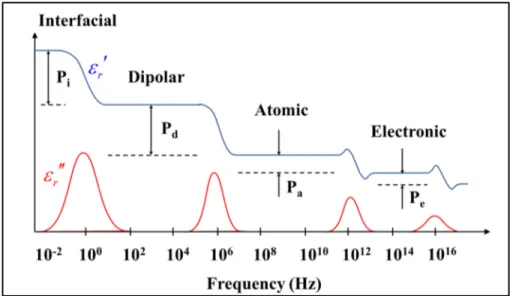 Figure 2.4 Dielectric relaxations in polymers. 