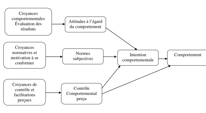 Figure 2 : Modèle du comportement planifié (Ajzen, 1991, 2002). 