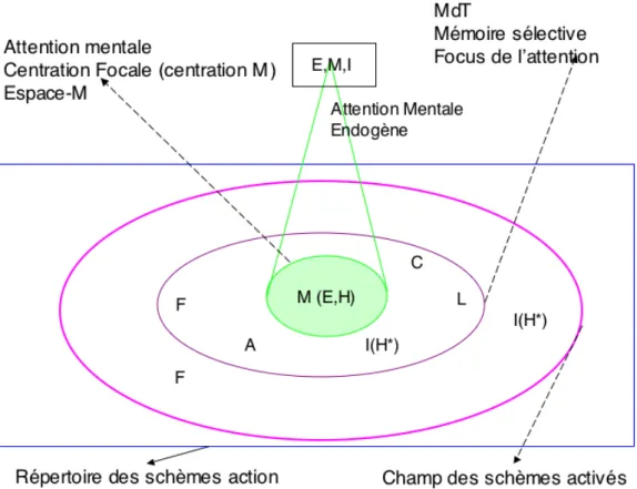Figure 4. Le modèle de la théorie de l’attention mentale endogène, voire organismique, tiré de  Pascual-Leone et Johnson (2011) 