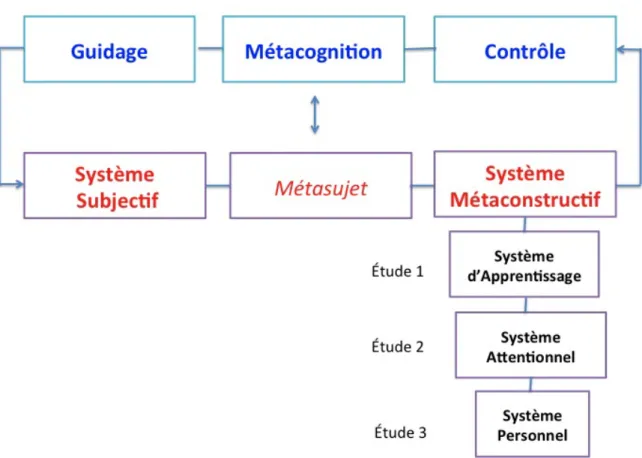 Figure 10.    La  dynamique  entre  métacognition  et  théorie  des  opérateurs  constructifs  à  l’écrit et l’organisation des études expérimentales 