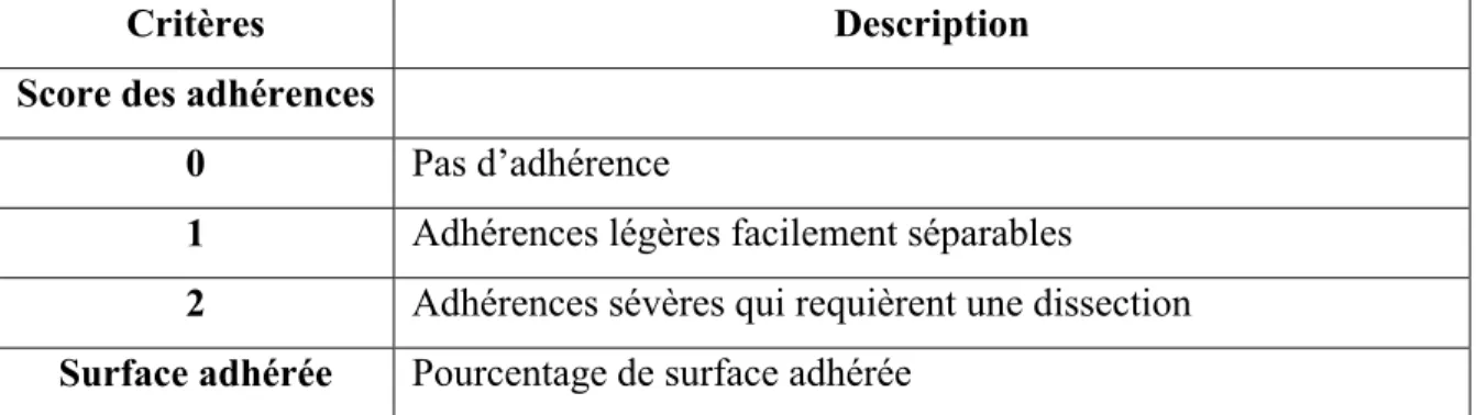 Tableau 2.8.2 : Détails des scores utilisés pour évaluer la sévérité des adhérences 