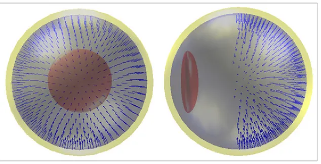 Figure 3.1 Modèle BEM des structures de l'œil  Le modèle comporte 4 régions : 