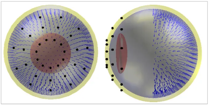 Figure 3.2 Modèle BEM multi-électrodes de l'œil  3.2.2  Approche maERG avec mouvements horizontaux 