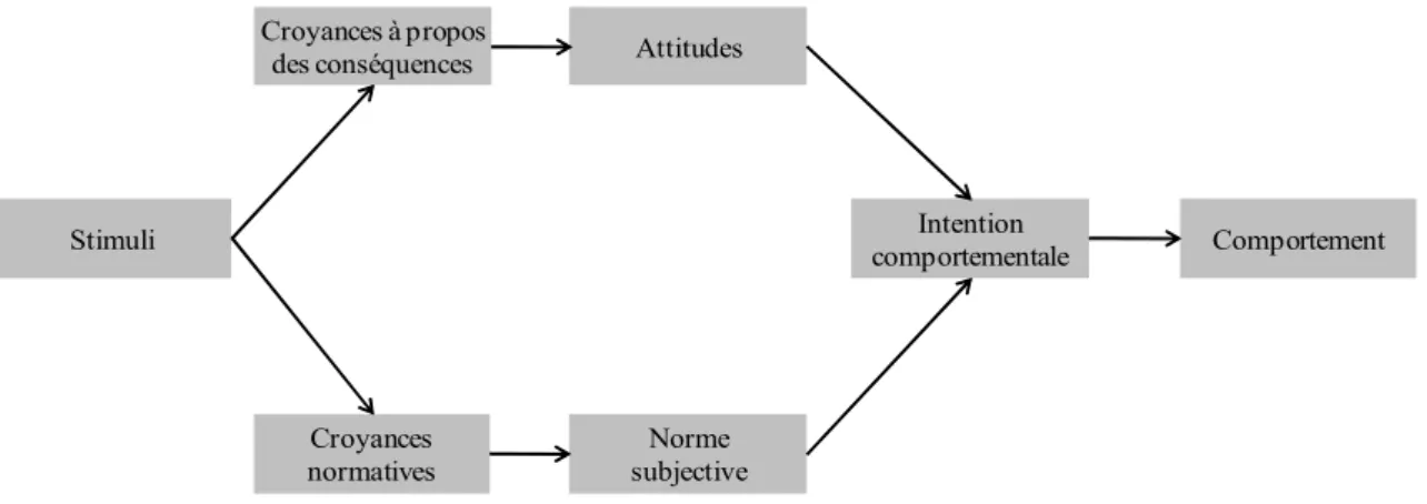 Figure 1 - Représentation de la Théorie de l'Action Raisonnée d'après Fishbein et Ajzen (1975).