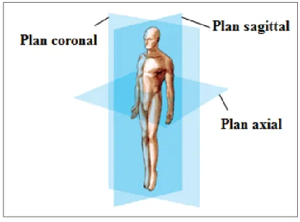 Figure 3.1 Schéma illustrant les plans coronal, sagittal et axial du corps humain.