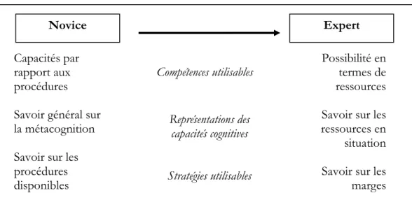 Figure 4 : Différentes ressources cognitives entre experts et novices (d’après Valot &amp; al