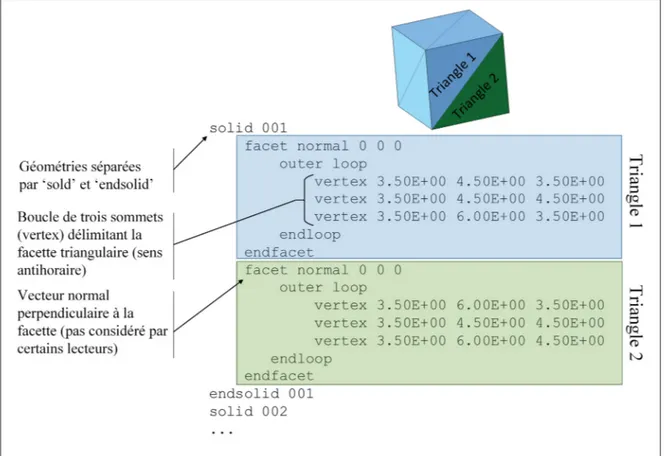 Figure 1.2 Exemple d’un ﬁchier STL représentant deux triangles sur la face d’un cube