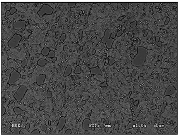 Figure 2-2 SEM micrograph of the starting  microstructure of the AISI D2 tool steel (annealed 