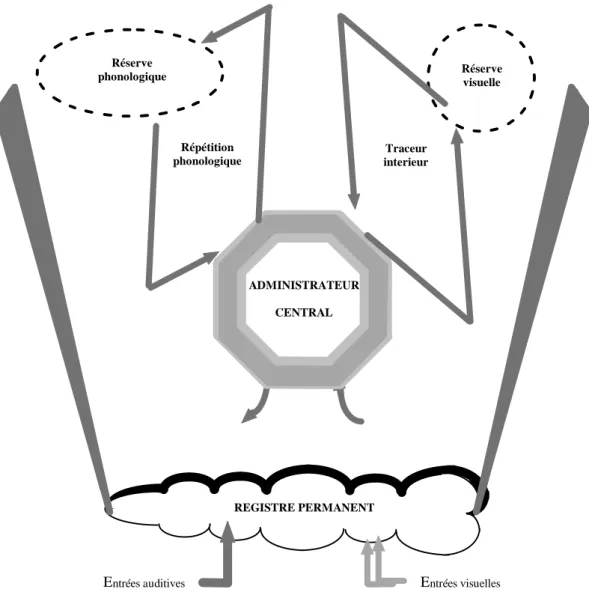 Figure 7 : Diagramme schématique du modèle modifié de la Mémoire de Travail   adapté de Logie (1995)