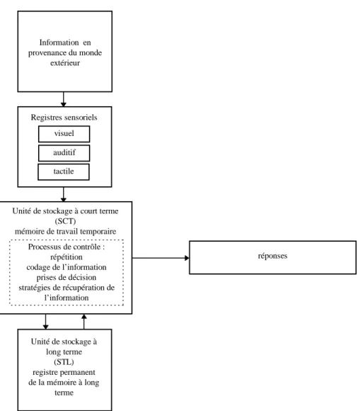 Figure 1 : Schéma simplifié du modèle de R. C. Atkinson et R. Shiffrin (1968). 