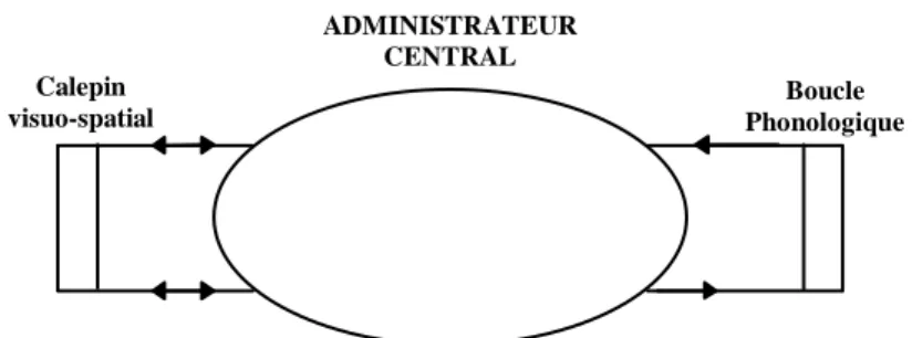 Figure 3 : Représentation schématique du modèle de Mémoire de Travail   d’après Baddeley (1986) 