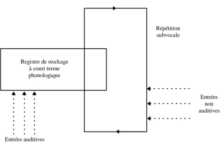 Figure 5 : Le modèle de la Boucle Phonologique d’après Baddeley (1986). 