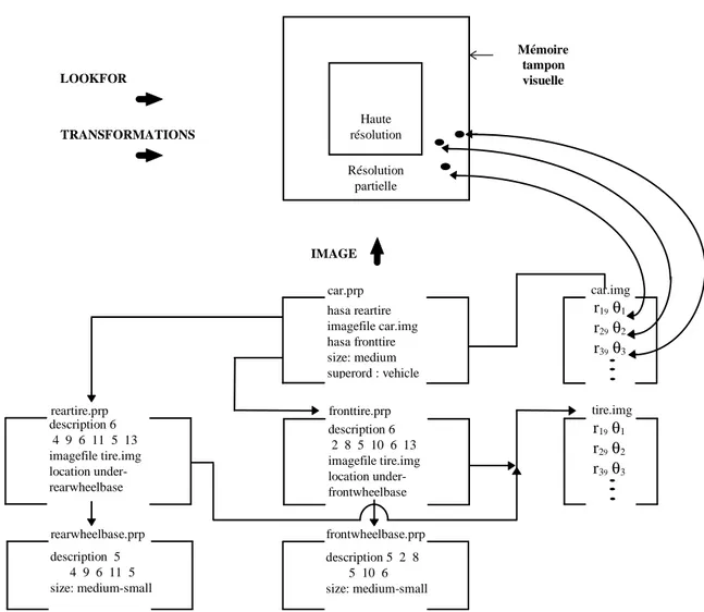 Figure 6 : Représentation schématique des structures du modèle de  Kosslyn (1980). 