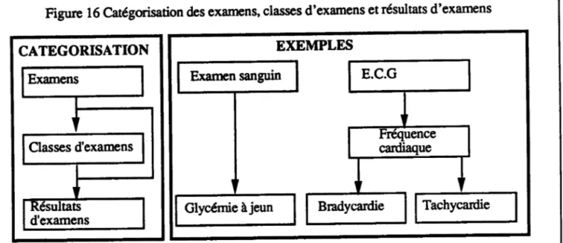 Figure 16 Cæégorisæion  des examens,  classes  d'examens  etrésultats  d'examens