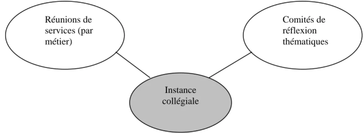 Figure 1 : Gouvernance et structure organisationnelle des structures autogérées 