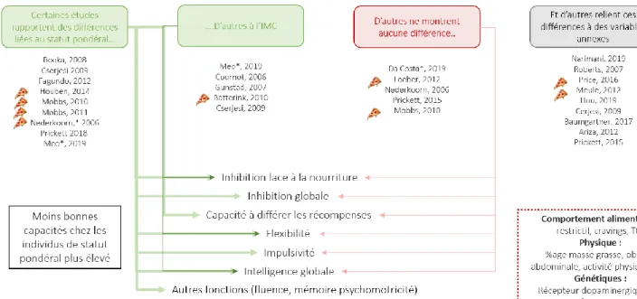 Figure 5 - Panorama des études observant des différences de capacités cognitives globales, ou  de capacités cognitives relatives à l’alimentation liées à l’IMC, ou au statut pondéral (variable  catégorielle  basée  sur  l’IMC)