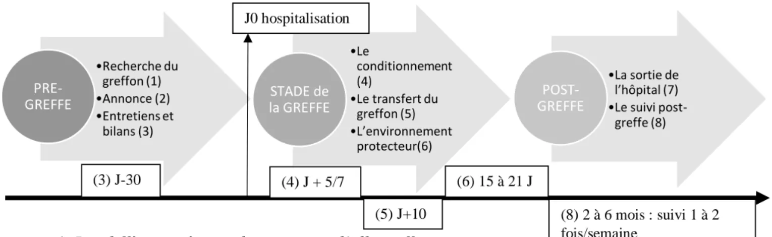 Figure 1. Les différentes étapes du processus d’allogreffe  4.2.1  La recherche de greffon (1)                                                                 13  http://sfgm-tc.com/patients  •Recherche du greffon (1)•Annonce (2)•Entretiens et bilans (3)PR