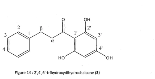 Figure 14 : 2',4 l/ 6 I -trihydroxydihydrochalcone (3)