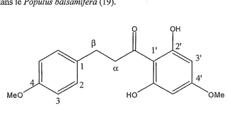 Figure 16 : Z'^'-dihydroxy^^'-diméthoxydihydrochalcone (12)