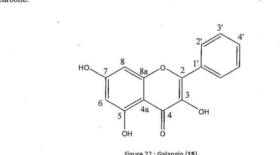 Figure  2 2 : Galangin (15)