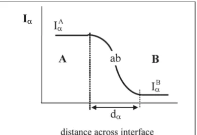 Figure 1.3 Change of intensities I α  defining phases  A and B over the distance across the interface 