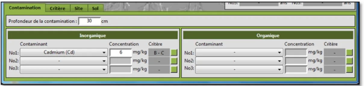 Figure 3.2 Onglet « Contamination » de la fiche du site contaminé 