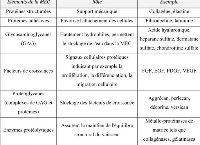 Tableau 1.1  Les principaux composants de la matrice extracellulaire et leur rôle 