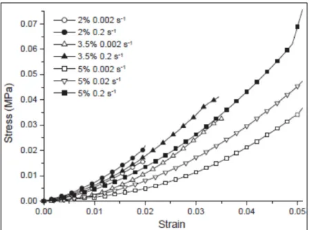 Figure 1.11: Comportement en traction de la moelle épinière  à différents pourcentages de déformation et taux de 