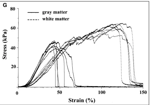 Figure 1.12: Comportement d'échantillons isolés de substances blanche et  grise. Tirée de Ichihara (2001, p