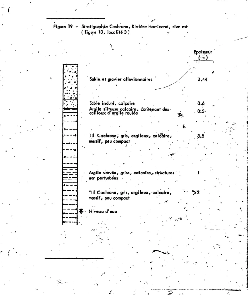Figure  19  - Stratigrap~;e  Coch;ane,  Rivière  Harricano,  rive est 
