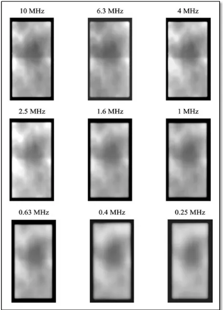 Figure 2.6 Images de conductivité des échantillons de Waspaloy  Tirée de (Yu, Blodgett et Nagy, 2006, p