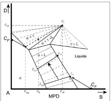 Figure 1.3 Section isotherme d’un diagramme ternaire hypothétique avec un intermétallique.