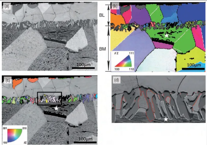 Figure 2.10 Exemple of EBSD analysis of the Ni–BNi-2 sample brazed for 60 min at 1050 ˚C (non indexed pixels are black in Fig.2.10-b,-c)