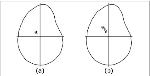 Figure 1.9 Position de la tête humérale par rapport à la glène.